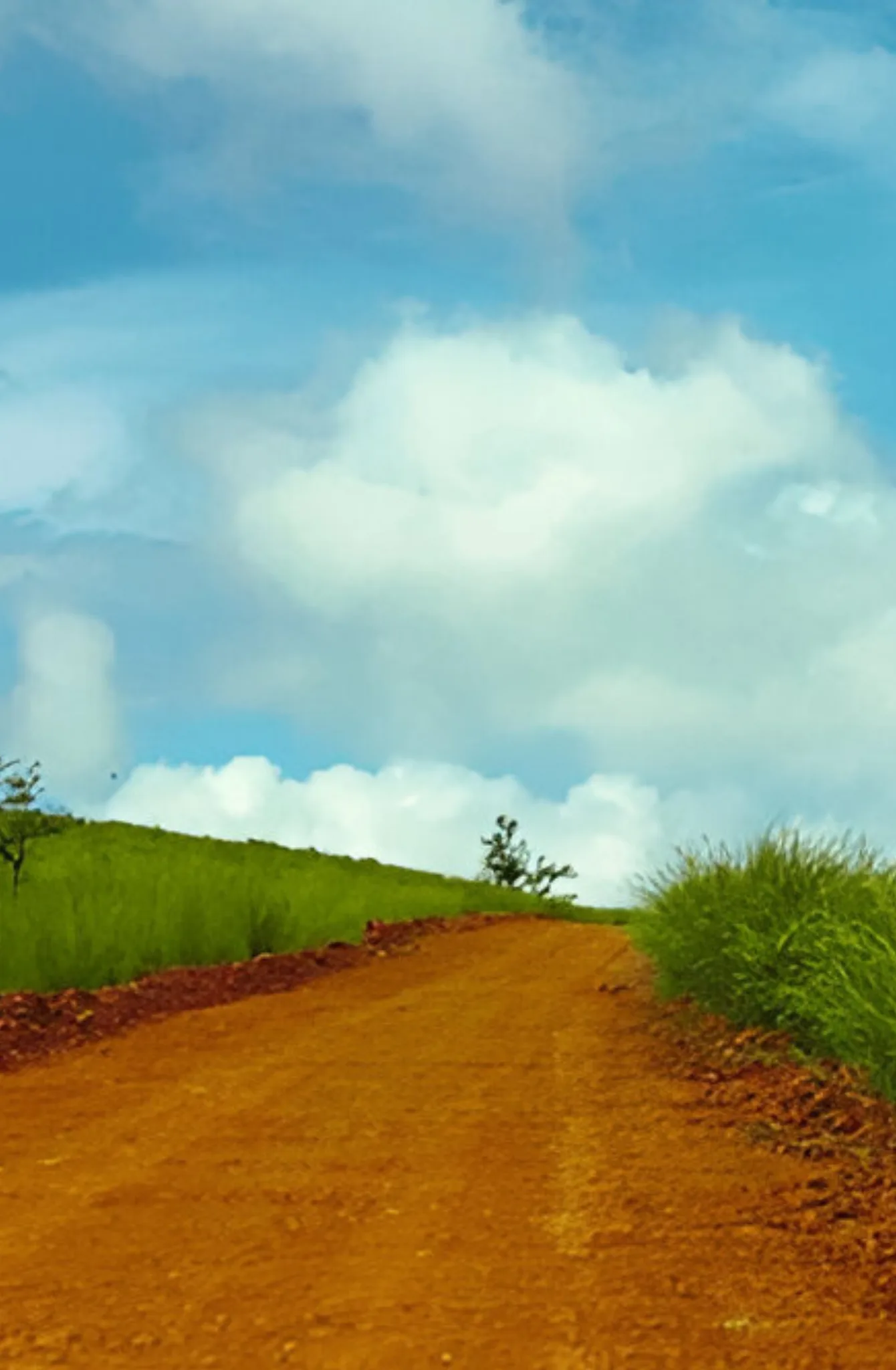 gudisa hills