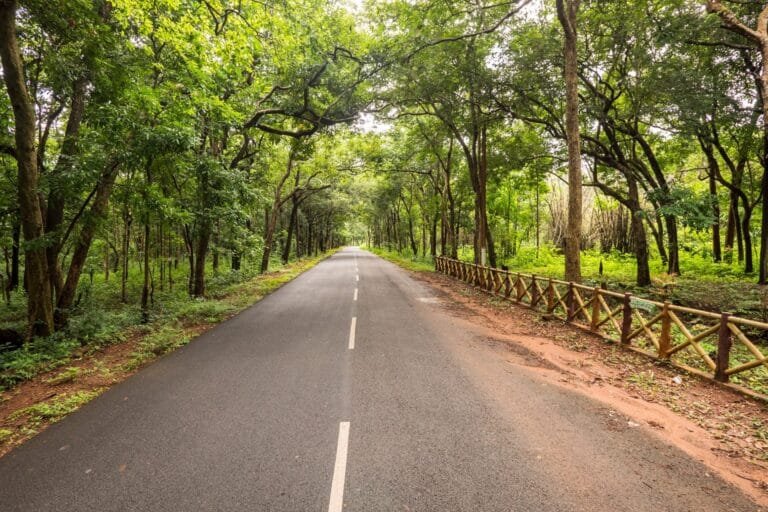 How to Reach Maredumilli