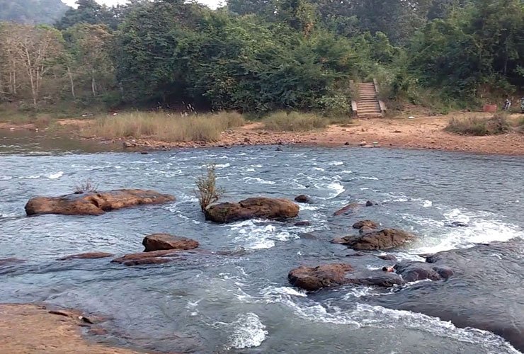 Pameluru vagu