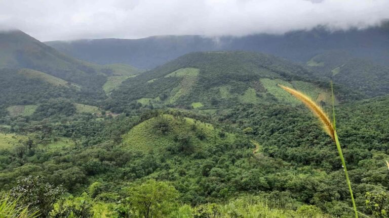 maredumilli 1 day tour package